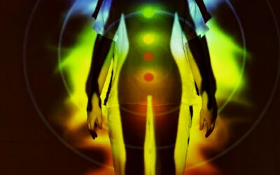 What are eight limbs of yoga, along with metaphors