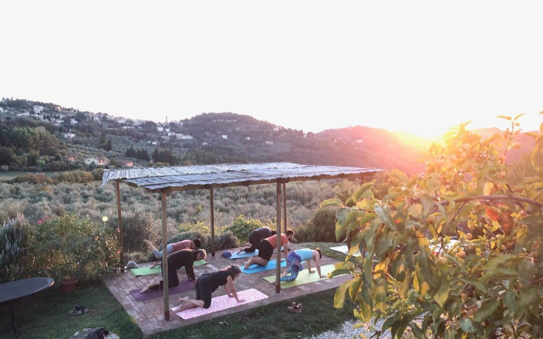 Yogasole 2026: The year that is coming…