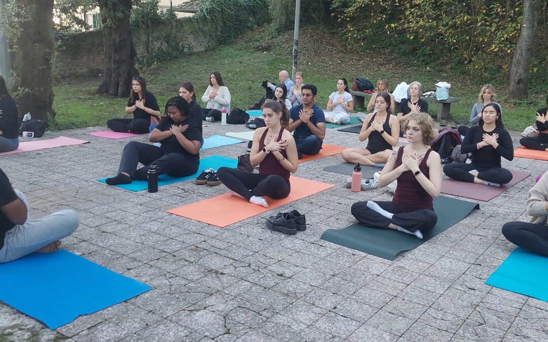 Yogasole 2025: The year that was …